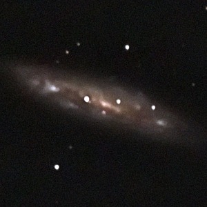 M 108, NGC 3556