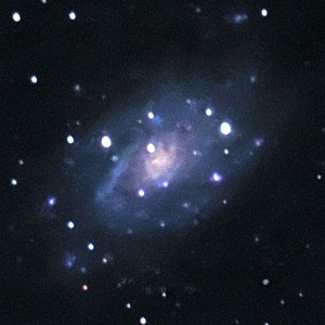 NGC 2403